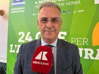 Alimenti, Minelli: "La dieta mediterranea è uno strumento universale di prevenzione"