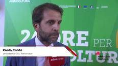 Campania Mater, la voce dei GAL: mare, pesca e sostenibilità al centro dello sviluppo locale