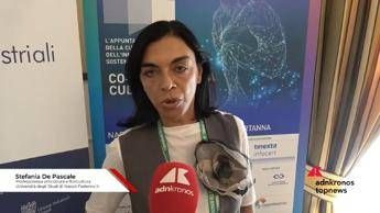 Cultura, De Pascale (UniNa): 