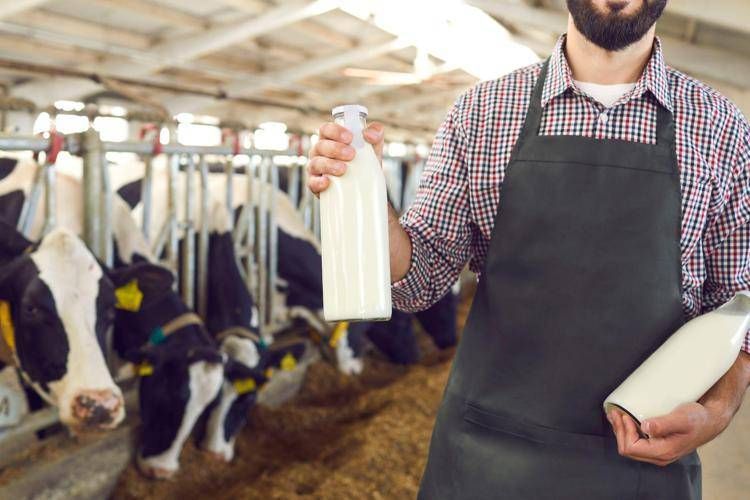 Agricoltura, Ismea: filiera lattiero casearia cresce e si rafforza sui mercati esteri