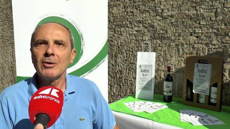 Stefano Carli