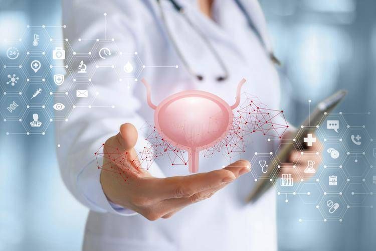 vescica-free image Sindrome vescica iperattiva, in Italia nuova opzione terapeutica