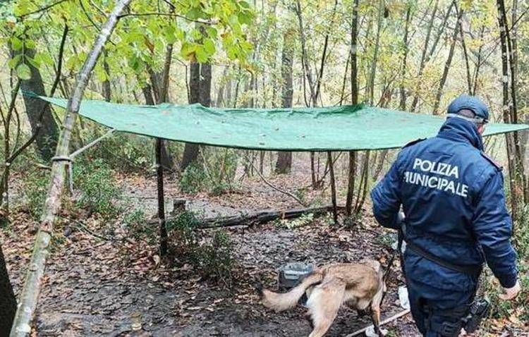 'Bosco della droga' a Fucecchio  - Giovannidonzelli.it
