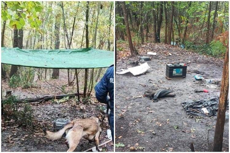 'Bosco della droga' a Fucecchio  - Giovannidonzelli.it e Carabinieri