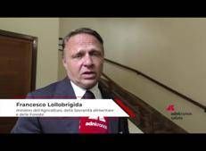 Salute: Lollobrigida, 'api elemento molto prezioso per l'ambiente'