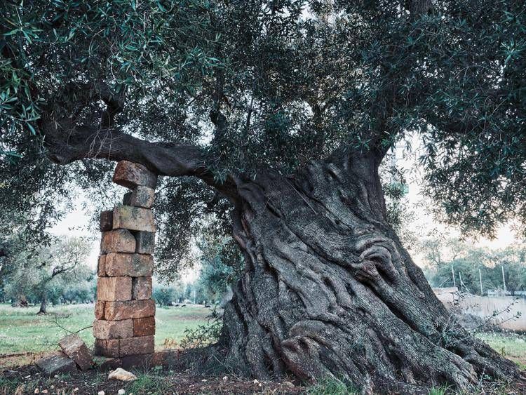 Uli Weber, nel libro 'Il mezzogiorno' un omaggio al Sud Italia