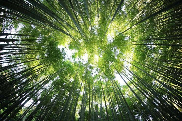 GR.A.N.D. Academy presenta il Comitato scientifico: competenze e percorsi per la decarbonizzazione