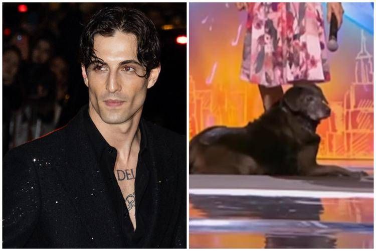 A Italia's Got Talent un cane che riconosce la voce di Damiano David - Video