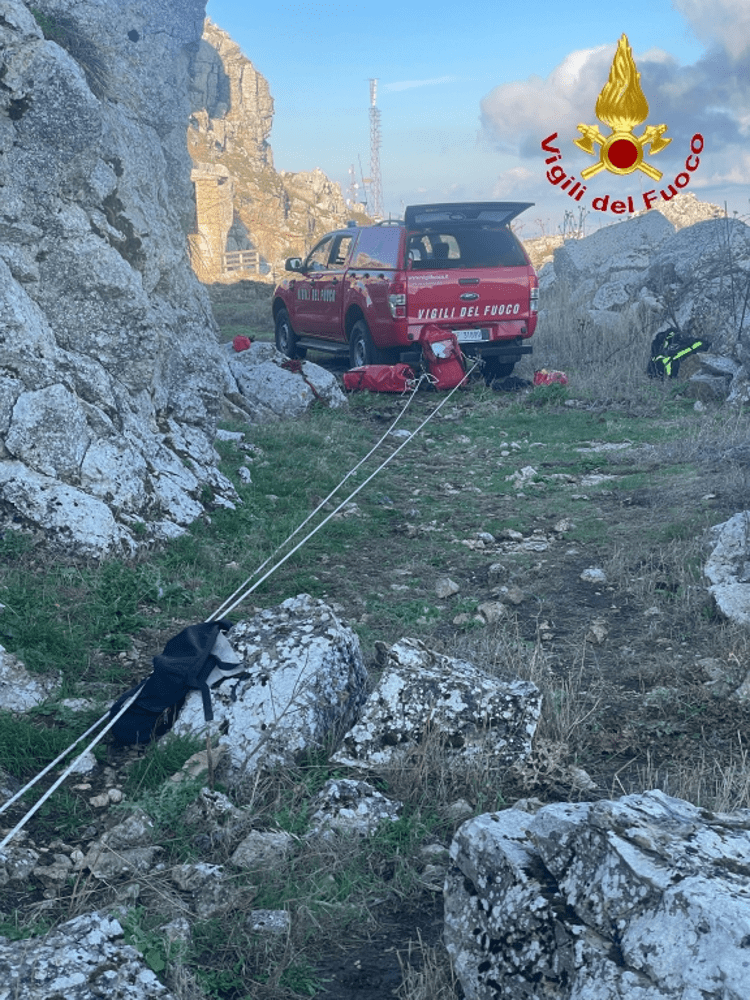 Il salvataggio del cane
