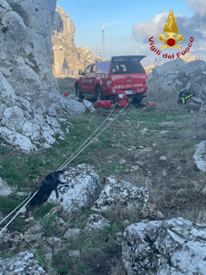 Il salvataggio del cane