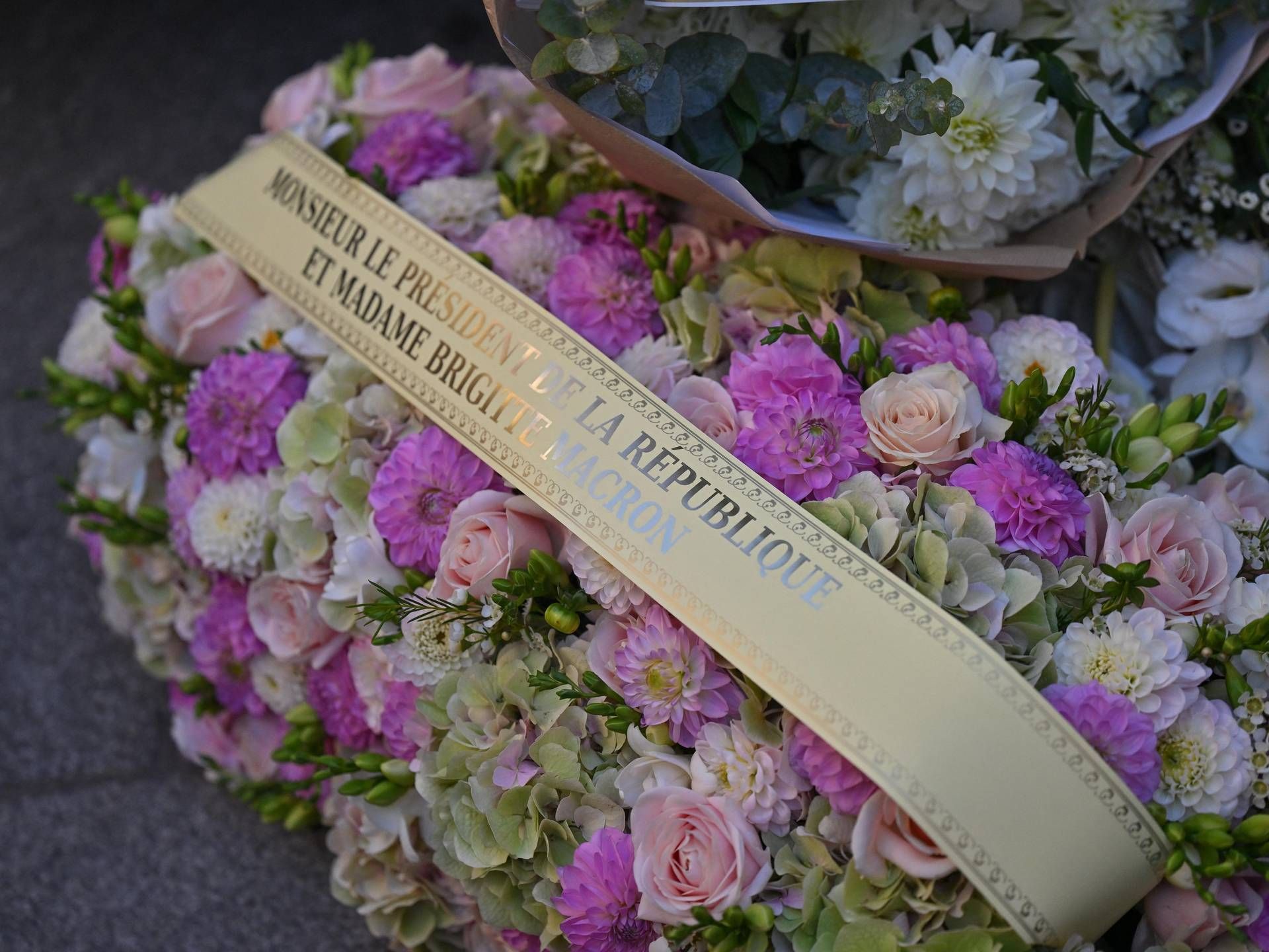 claudia cardinale funerali 99 ipa