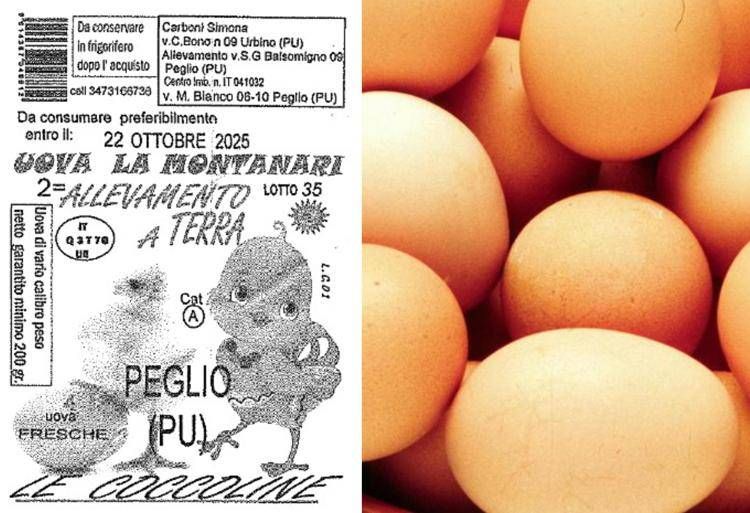 Il richiamo dal sito del ministero della Salute