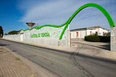 Vino, Cantina di Venosa investe 3,4 mln di euro per l'ampliamento e punta sull’enoturismo