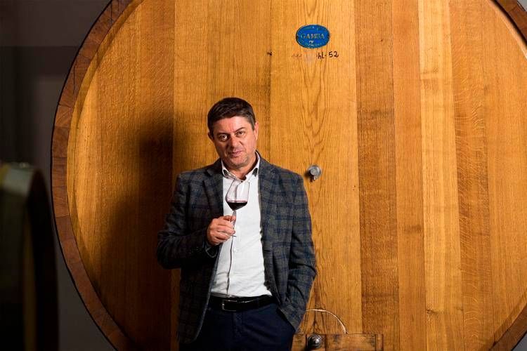 Vino, Perillo (Cantina di Venosa): 