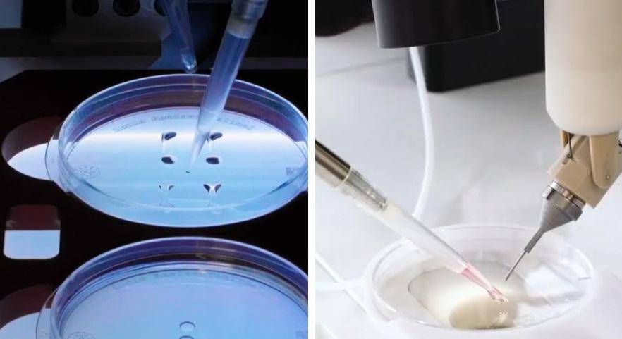 Robotlar özgür çocukları doğurur, Meksika'daki devrim