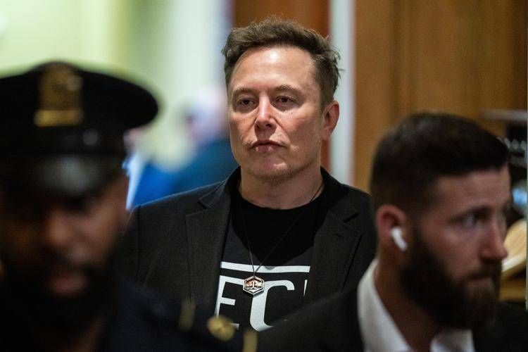 Elon Musk - Ipa