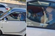 Roberto Benigni nel video