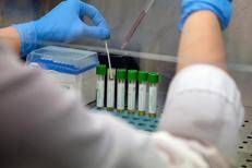 ricerca laboratorio fg