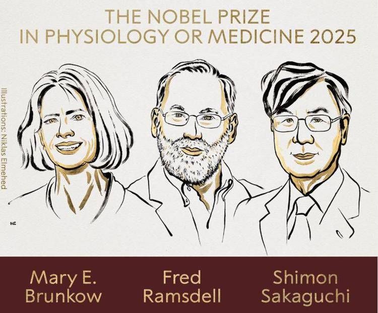 I vincitori del Nobel 2025 per la Medicina