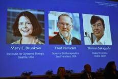I vincitori del Nobel 2025 per la Medicina - (Afp)