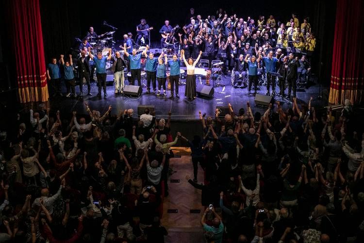 Musica inclusiva: nasce IAAM, alleanza globale per l'accessibilità artistica