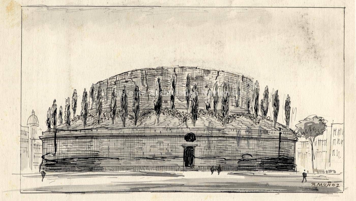 “Il Mausoleo di Augusto avrà i suoi cipressi”, la replica della Sovrintendenza Capitolina “Il Mausoleo di Augusto avrà i suoi cipressi”, la replica della Sovrintendenza Capitolina