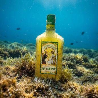 Arriva il limoncello sottomarino, Antica Distilleria Petrone sperimenta l'affinamento in acqua