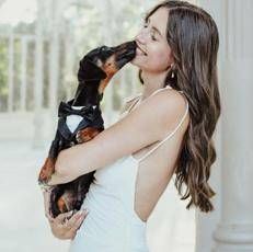 Matrimoni, ecco il look per l'amico a 4 zampe garantiti comfort qualità e un'eleganza senza tempo