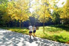 Caldo e sole con l'Ottobrata 2025