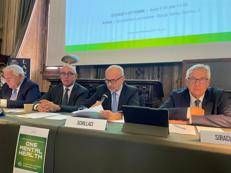 Schillaci: “Ottanta milioni per la salute mentale nella legge di bilancio”