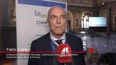 Castelli (Professore Ordinario di Idrologia e Costruzioni Idrauliche - Università degli Studi di Firenze): 