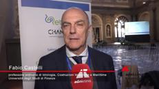 Castelli (Professore Ordinario di Idrologia e Costruzioni Idrauliche - Università degli Studi di Firenze): 