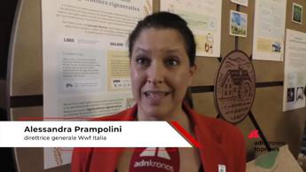 Mulino Bianco: Prampolini (Wwf), 'insieme a Barilla per agricoltura rigenerativa