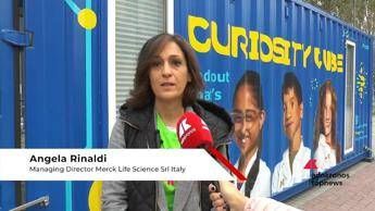 Rinaldi (Merck): 