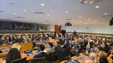 Mafie, 'focus TikTok': Fondazione Magna Grecia presenta uno studio pioniere