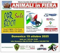 A Frosinone torna