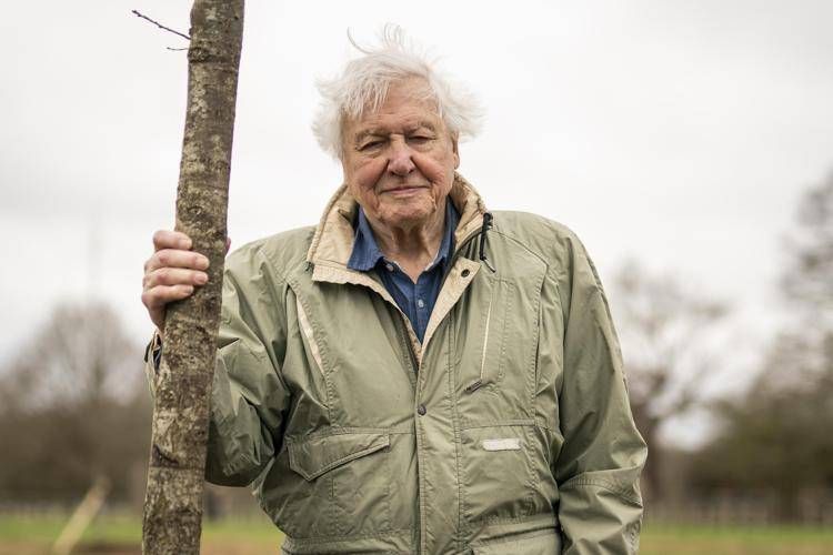 David Attenborough (Ipa)