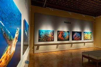 'Oceani' di David Doubilet a Firenze con National Geographic