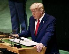 Donald Trump - Ipa