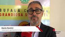 Made in Italy: Mozzarella di Bufala Campana Dop, Pantini (Nomisma) 