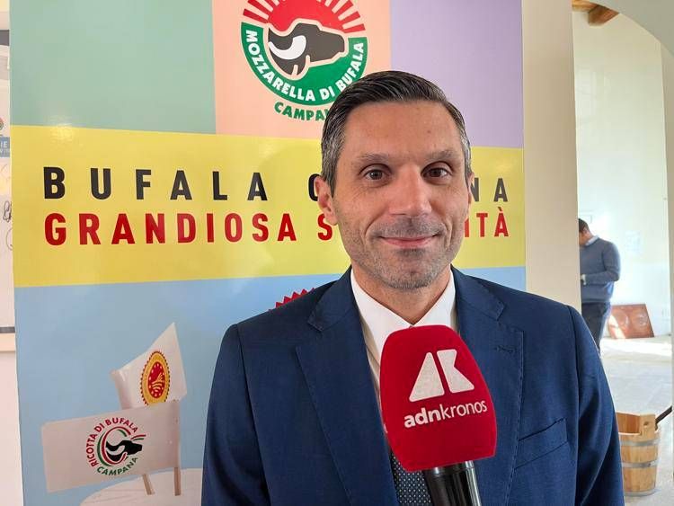 Diego Matricano, docente di Innovazione e Startup Dipartimento di Economia dell’Università Vanvitelli