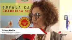 Made in Italy, Mozzarella di bufala campana DOP, Maffei