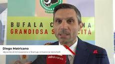 Made in Italy: Matricano (Vanvitelli),