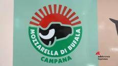 Mozzarella di Bufala Campana Dop, il Made in Italy che unisce tradizione e innovazione
