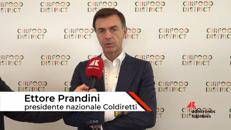 Alimentazione, Prandini (Coldiretti):
