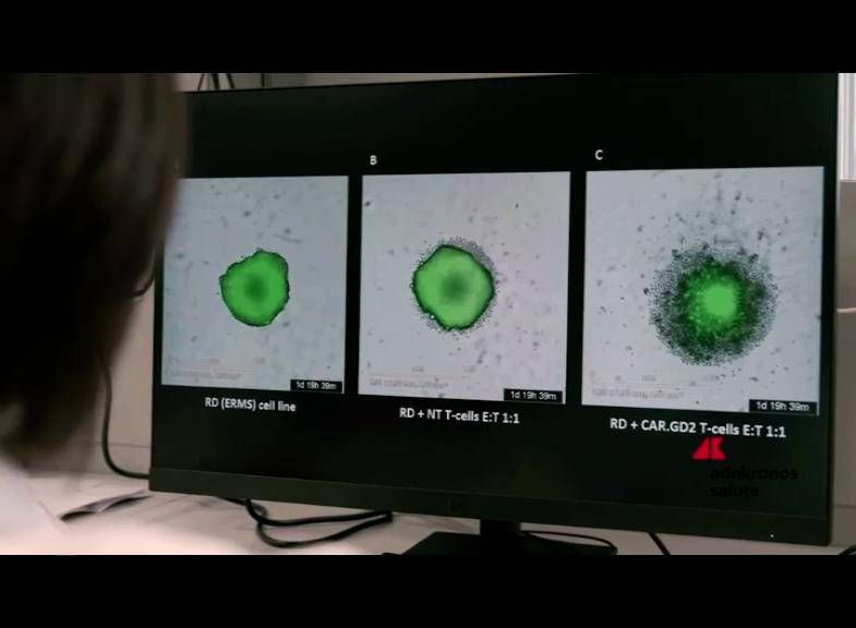 Salute: l'Ospedale Pediatrico Bambino Gesù di Roma inaugura nuovo Laboratorio di Terapia Genica