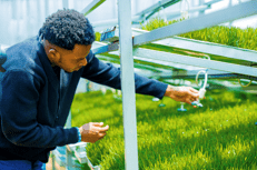 Coltivare senza terra per produrre cibo ovunque, la scommessa di Smartel in Nigeria