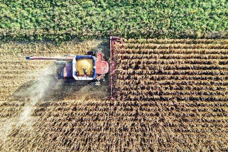 Osservatorio Agrofarma: 