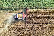 Osservatorio Agrofarma: 