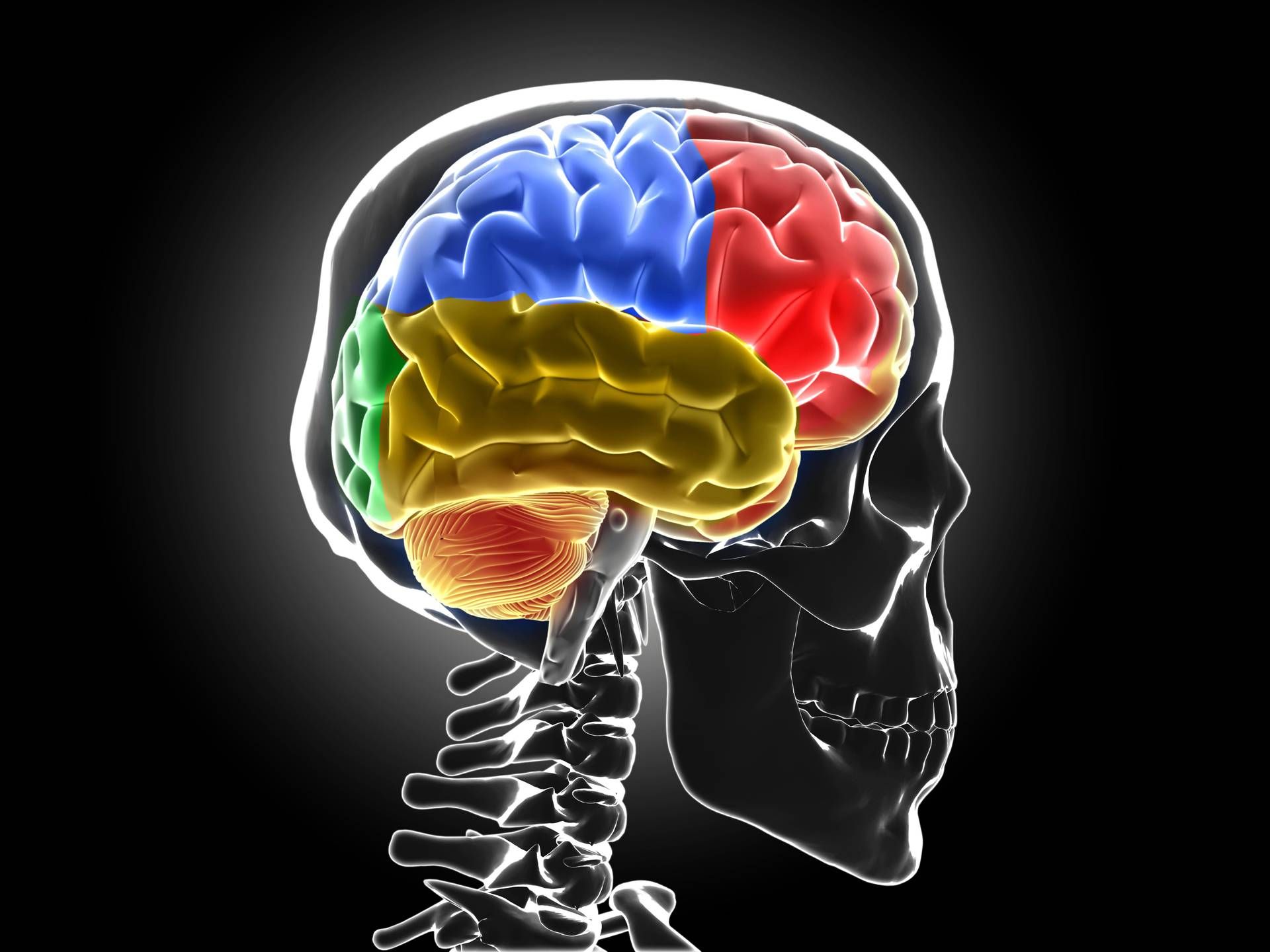 Sistema di 'lavaggio' in tilt, ecco cosa succede al cervello senza sonno